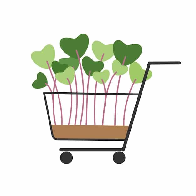 Browser Extensions for Ethical Shopping: Find Sustainable & Fair-Trade Products